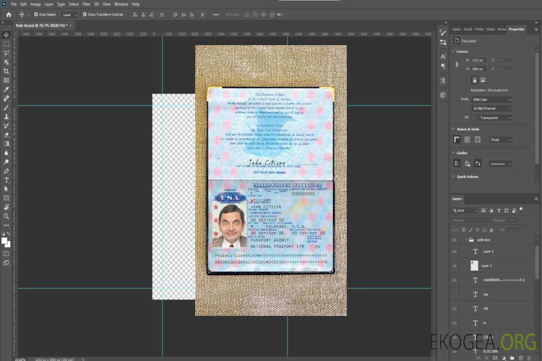 Look photo du passeport américain d'avant 2007 template